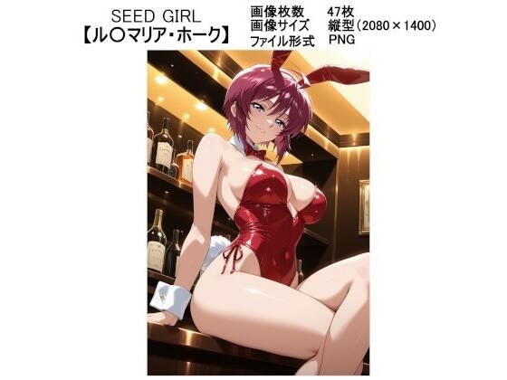 SEED GIRL【ルナマ〇ア・ホーク】【ラバーマン画像保管庫】