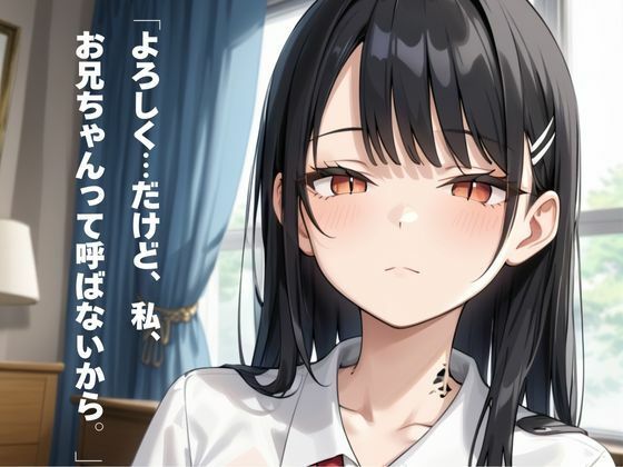 親が再婚して突然できた妹を生ハメして処女を奪う 画像3