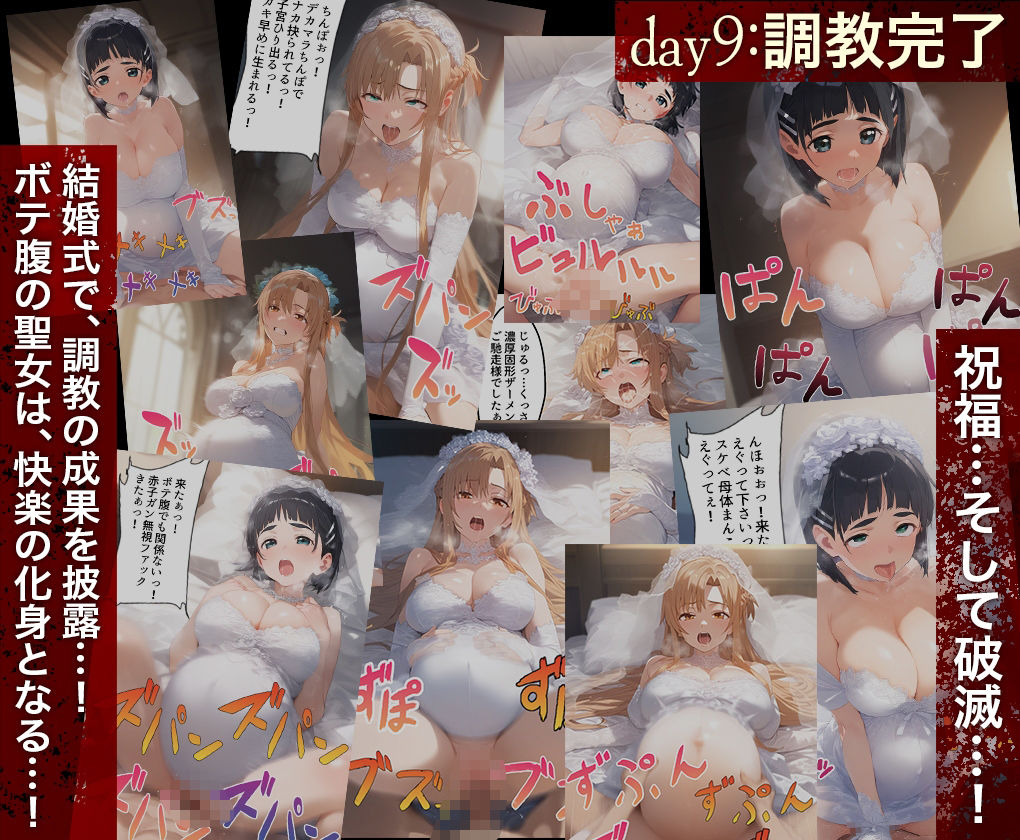 堕チルまでの9days_SAO_総集編 画像10