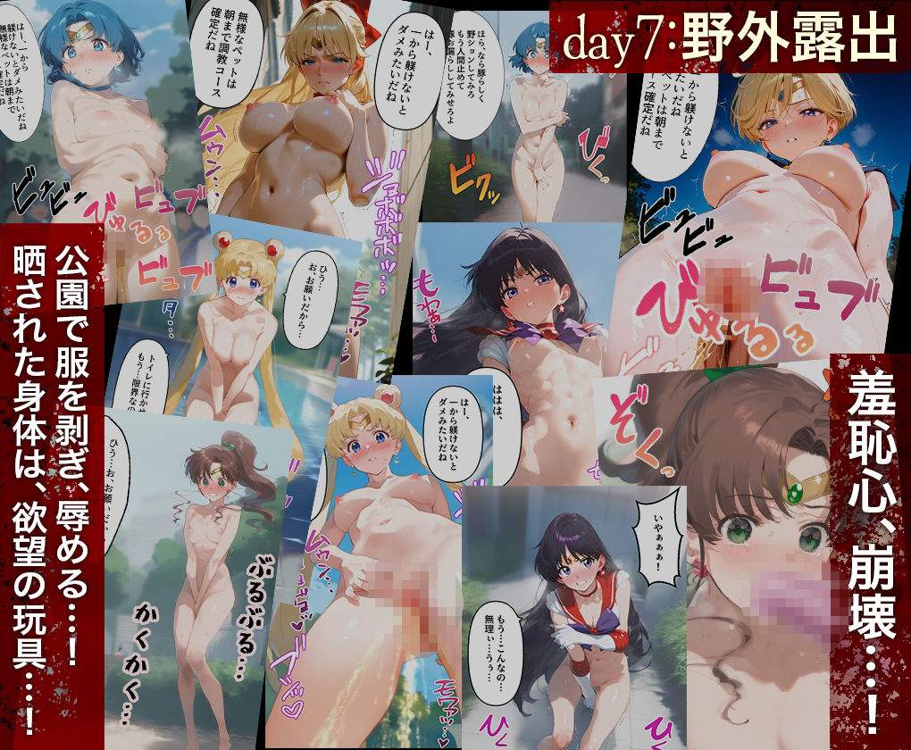 堕チルまでの9days_ セーラー戦士総集編 画像8