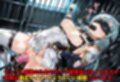 ［亡国の孕み袋］ 〜帝国軍は国を挙げての強●魔〜   第12部 女騎士  搾乳され犯●れるオンナ達