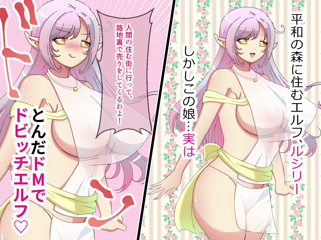 ドMエルフちゃんは、男たちにブチまわされて父親の分からない赤ちゃんを孕みたい 画像1
