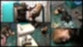 屍霊の苗床 サバイバルアクション編