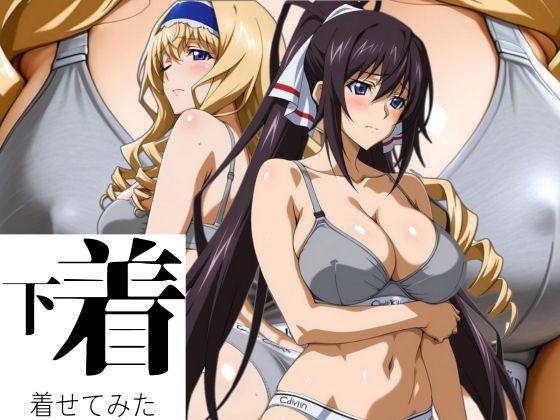 あの下着を着せてみた。 ほ〇き&セ〇リア【ぶるん】