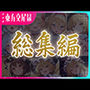 東方交尾録〜妖々夢総集編〜