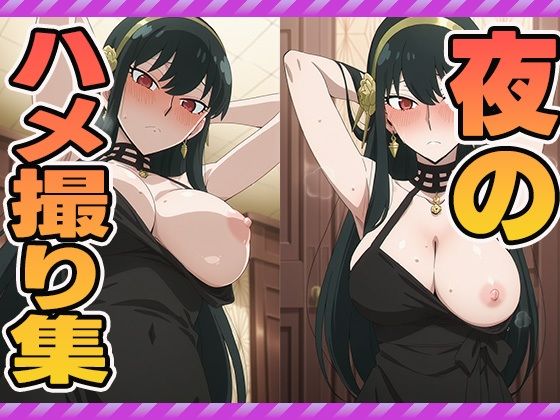 夜のハメ撮り集