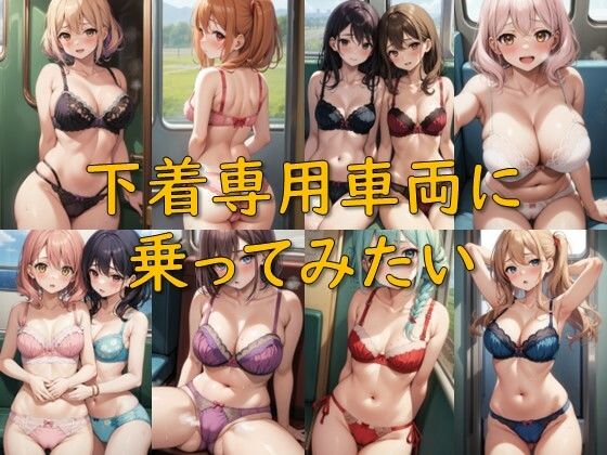 下着専用車両に乗ってみたい