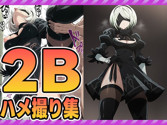 d_598351｜2Bハメ撮り集【ぽんぽんたぬきち】