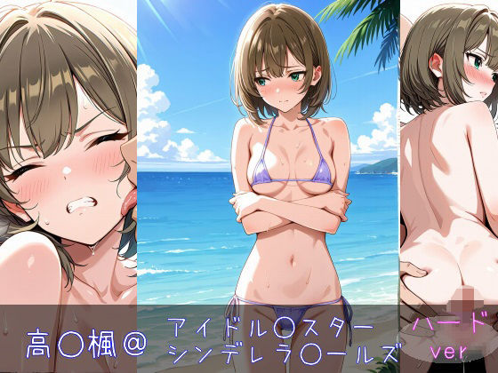 高○楓 ハードver
