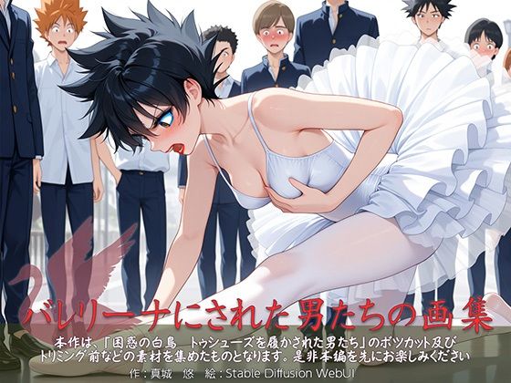 バレリーナにされた男たちの画集