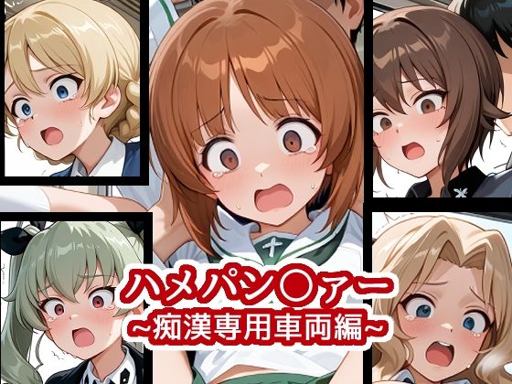 ハメパン〇ァー〜痴●専用車両編〜【バークライトワークス】