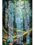 エルフたちの森〜膣洗浄魔導士〜【テキスト付き本編34P】