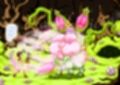 アラクネに搾精される全裸勇者