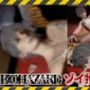 バイオ7で村に取り残されたゾイはSM調教されていた動画パック