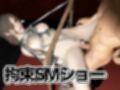 バイオ2のクレアがアンブレラに囚われ、拘束SM調教でショーまで出させられる動画パック