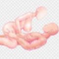 体素材集55