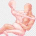 体素材集56
