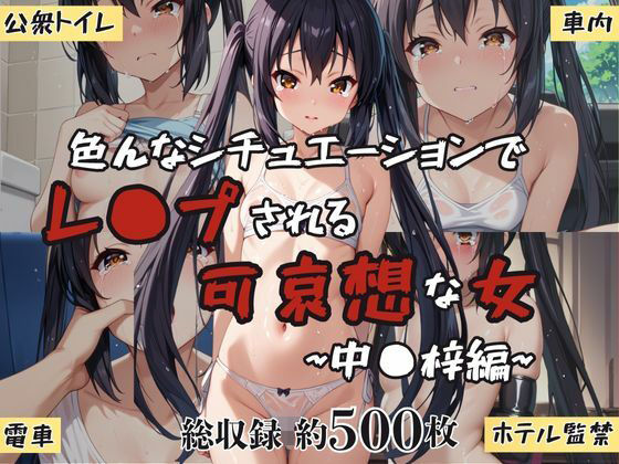 超絶不幸〜色んなシチュエーションでレ●プされる可哀想な女〜中●梓編【HB鉛筆】