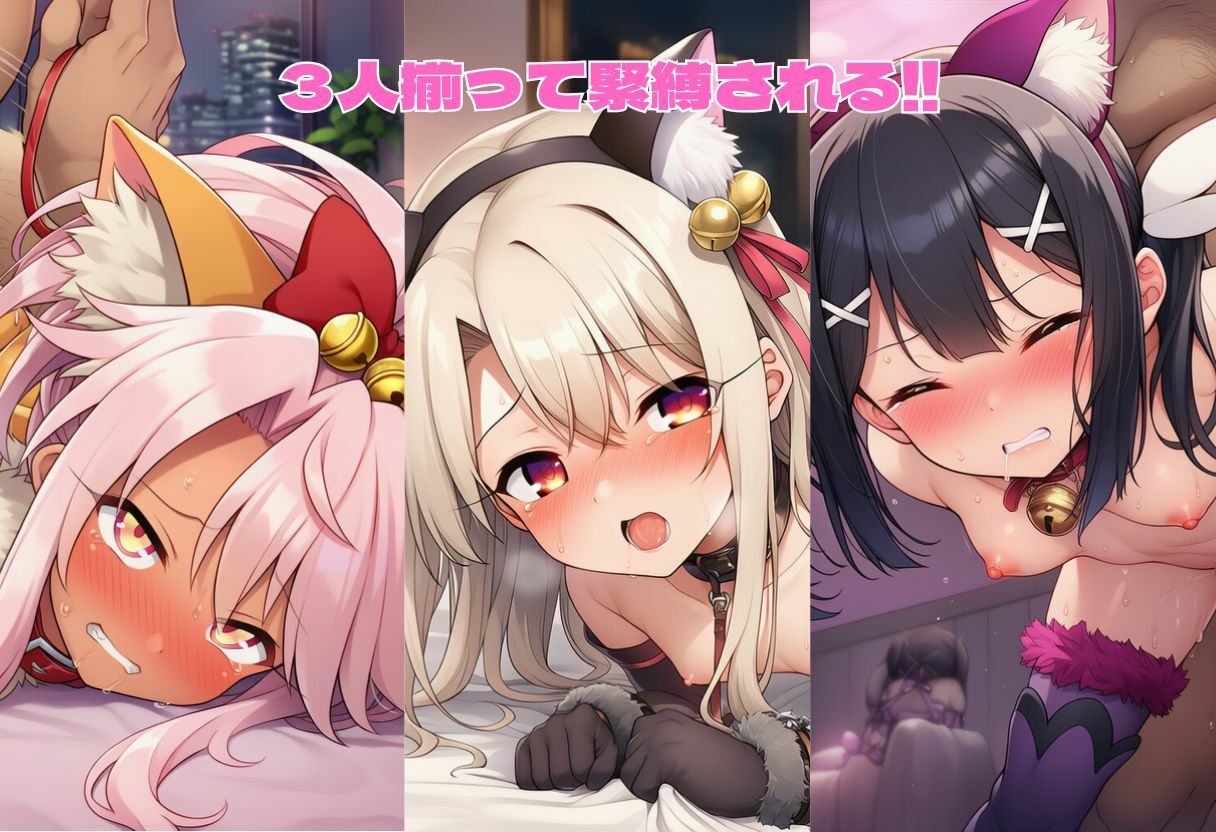 サンプル画像2:緊縛 プ〇ズマ☆イリヤ編 イリヤ・美遊・クロエ(ヌキっぱなし) [d_604529]