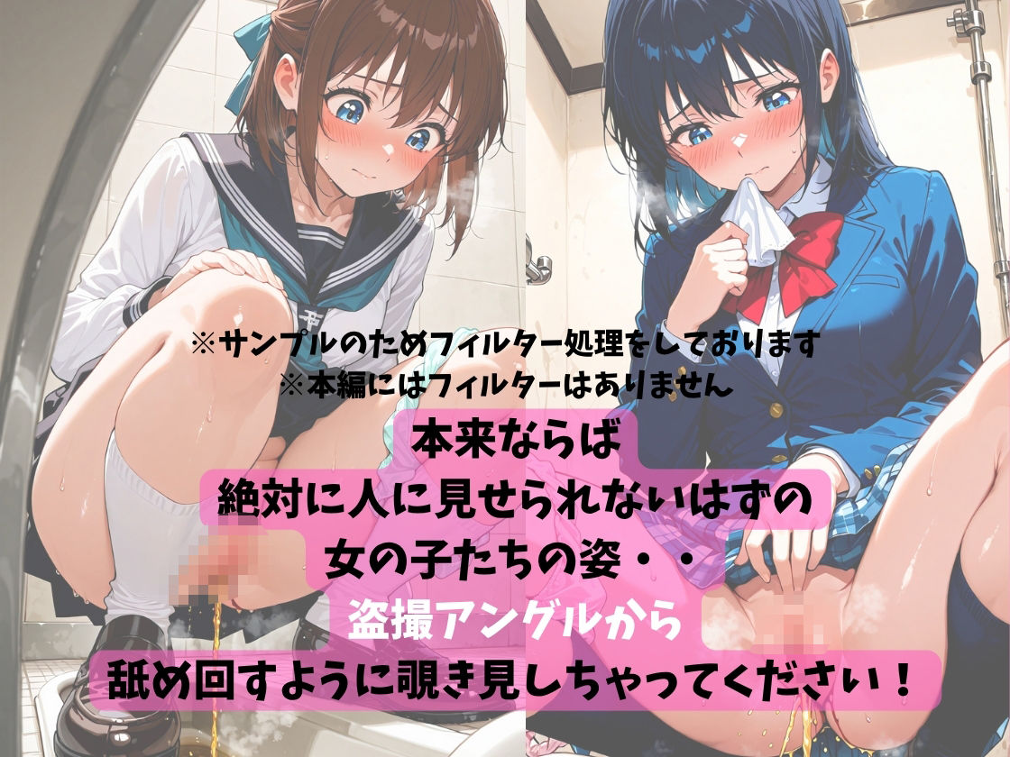 サンプル画像2:生理中トイレ盗撮！〜女の子の日の憂鬱とムレて匂いたつお○んこ〜女子校生編(お下品おしっこくらぶ) [d_605403]