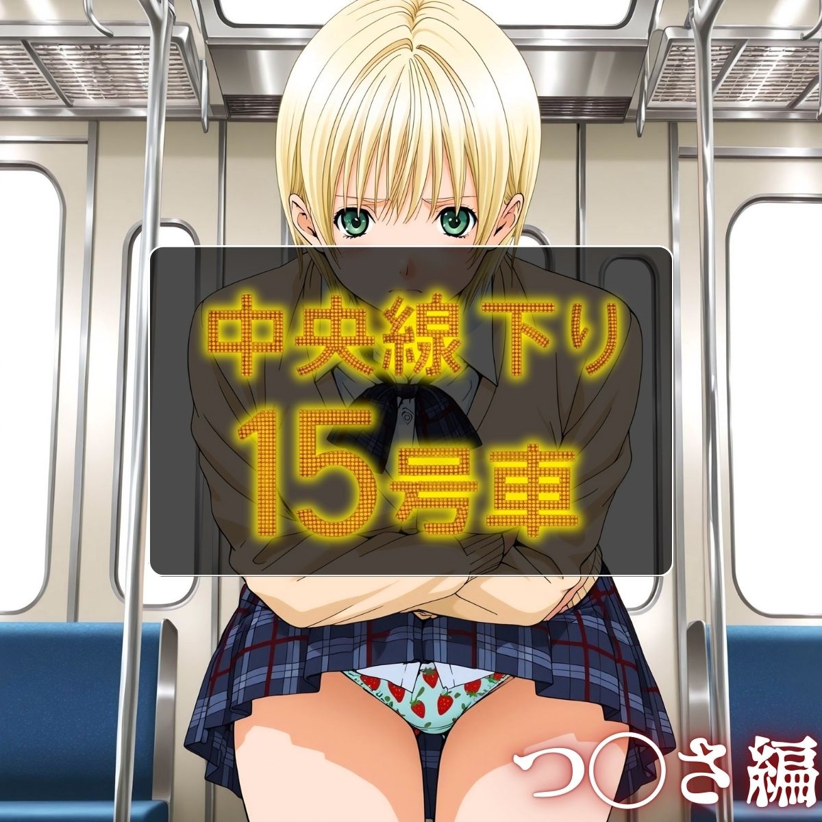 中央線下り15号車 つ◯さ編 画像2