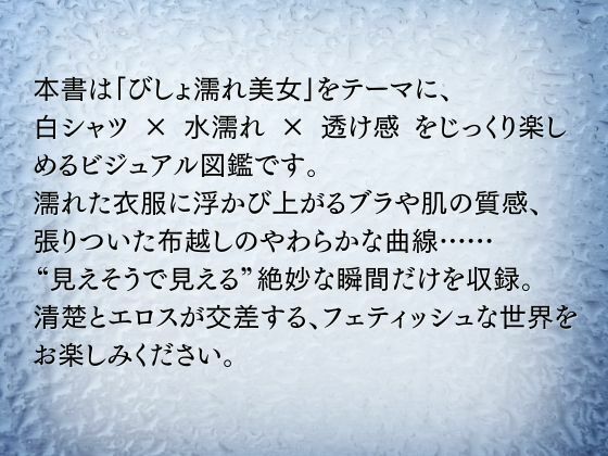 サンプル画像2:びしょ濡れ美女図鑑 ＃1白シャツ編(ももいろクレヨン) [d_606353]
