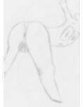 黒よりも黒い黒戯絵集「マネキンポーズ」