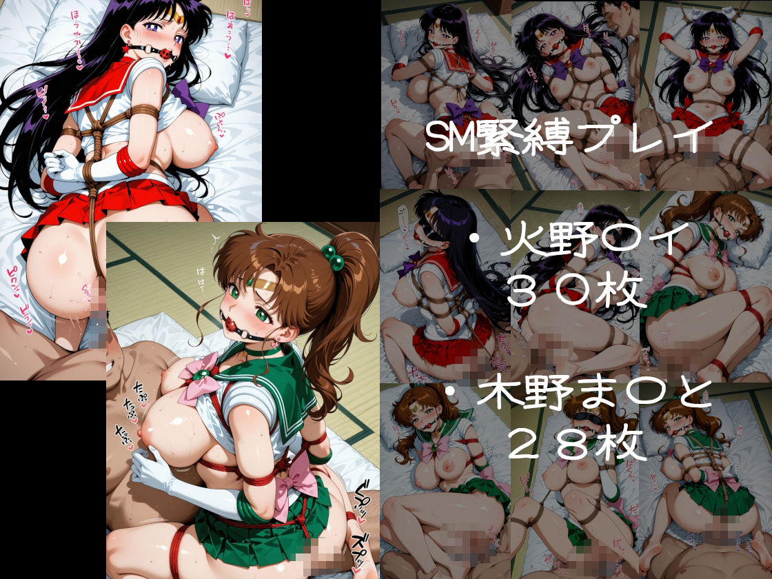 サンプル画像3:超高級デリヘル淫乱温泉 セーラ〇マーズ＆セ〇ラーマージ〇ピター編(遊び人) [d_608404]