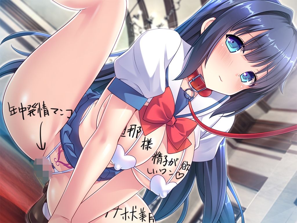 動画版大和撫子なお嬢様が妊活のために超都合のいい孕ませオナホ嫁として嫁いできた! 画像3