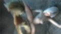 【ROMV290】バイオハザード9 グレース シャワーセックス「ンギモヂィィーーー！」