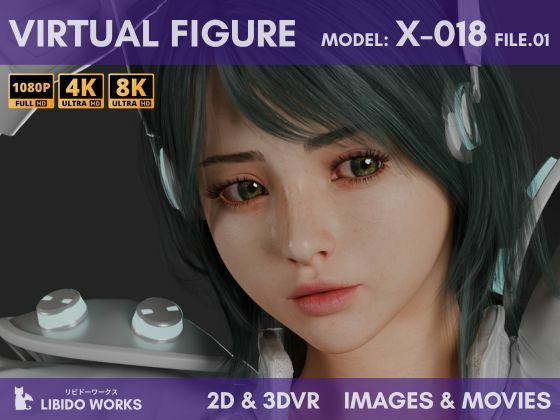 2D＋3DVR VIRTUAL FIGURE MODEL:X-018 FILE.01