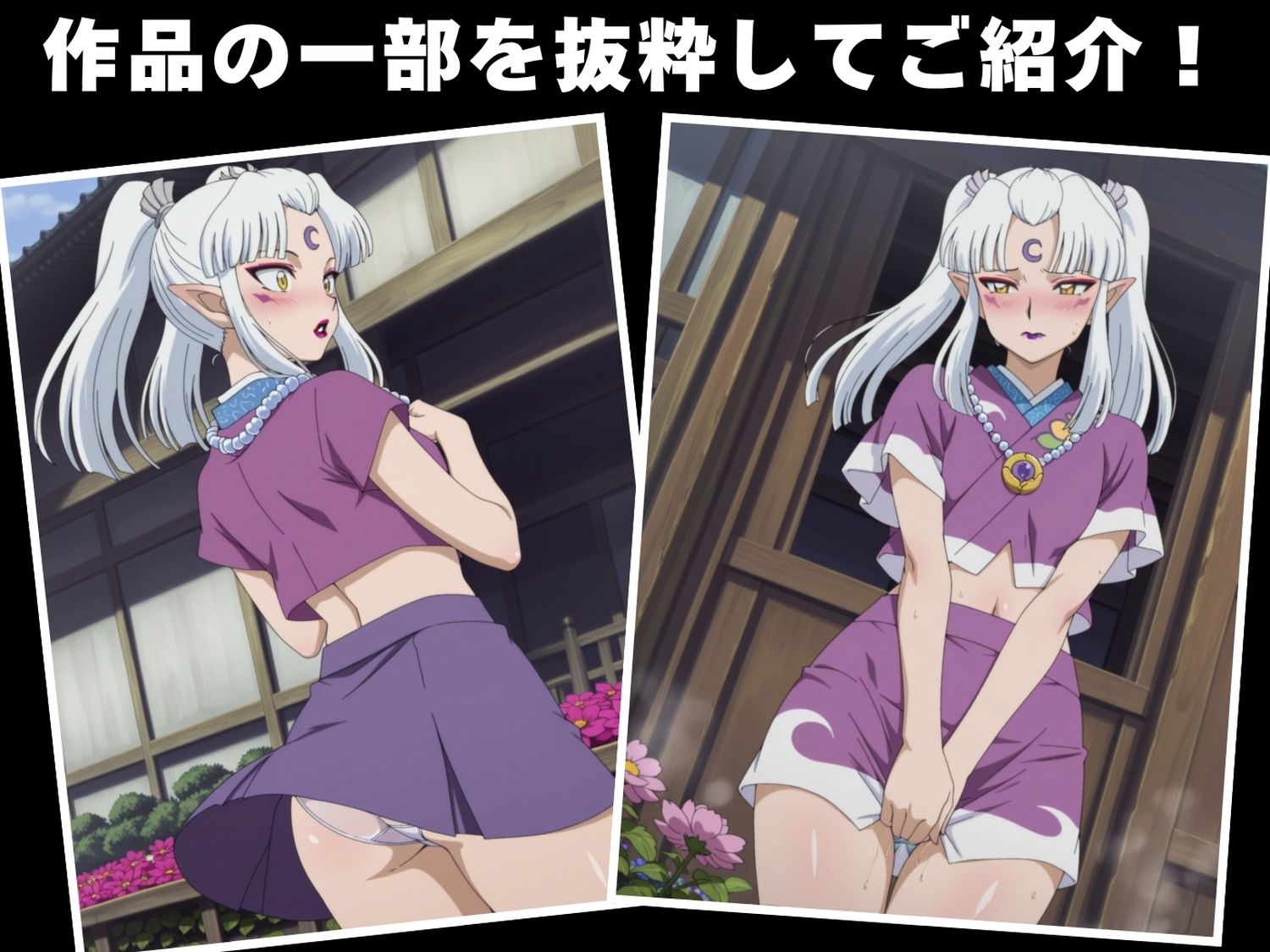【種付け・催●】殺生丸●母 画像1