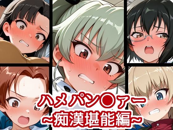 ハメパン〇ァー〜痴●堪能編〜