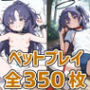 会計ちゃんペットプレイHCG集350枚