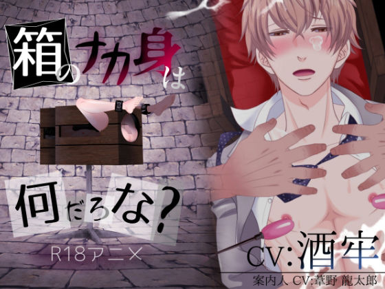 箱のナカ身は何だろな?〜新社会人〜【ぷれい☆る〜む】