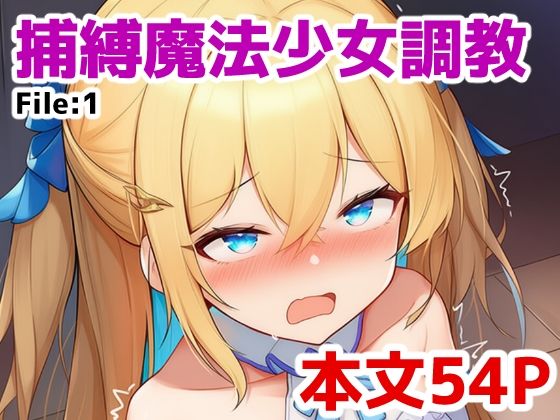 捕縛魔法少女調教 File:1