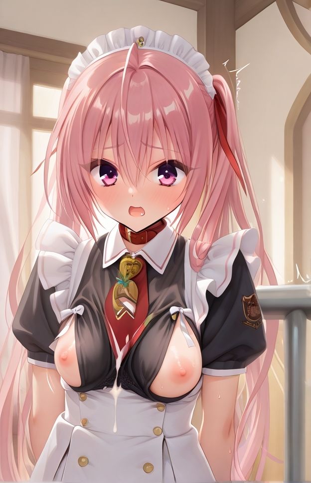 サンプル画像6:メイドコレクション壱(白屋) [d_617433]