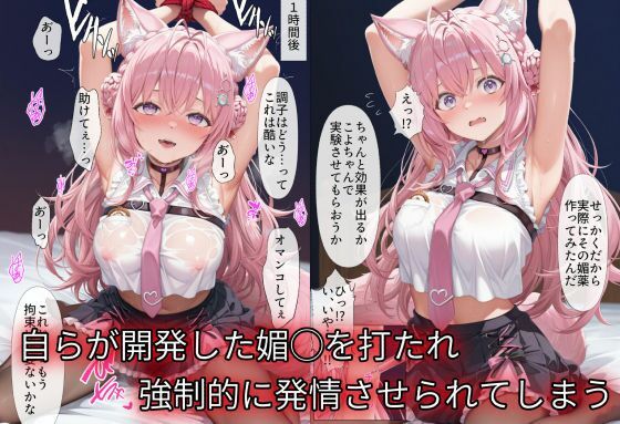 サンプル画像2:秘密結社完全征服オーバードーズ(NobleCats) [d_617594]