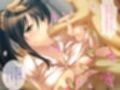 奪われた新妻［続］