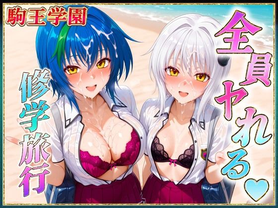 d_617764｜駒王学園の孕ませ修学旅行【ヒロインのおっぱい】