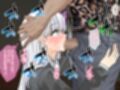 迷宮都市アサイラム CGノベル版 総集編 〜敬虔な聖女が快楽を信奉するようになった理由〜