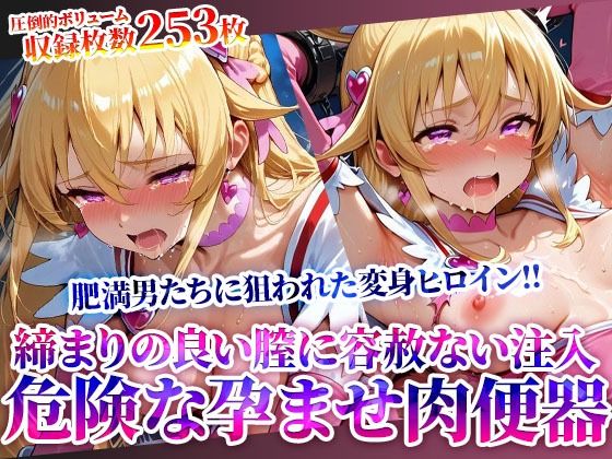 変身ヒロインの締まりの良い膣に容赦なく注入する男たち 〜妹系の魔法少女は鬼畜たちの孕ませ肉便器となってゆく〜【Play.playerplayチャンネル】
