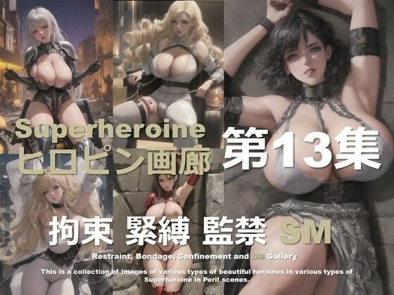 ヒロピン画廊 第13集