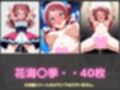ガニ股放尿ヒロインズ〜学〇ス編〜