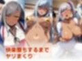 ヒロイン飼育  〇ィレッタが記憶を無くし凌●され奴●化するCG集