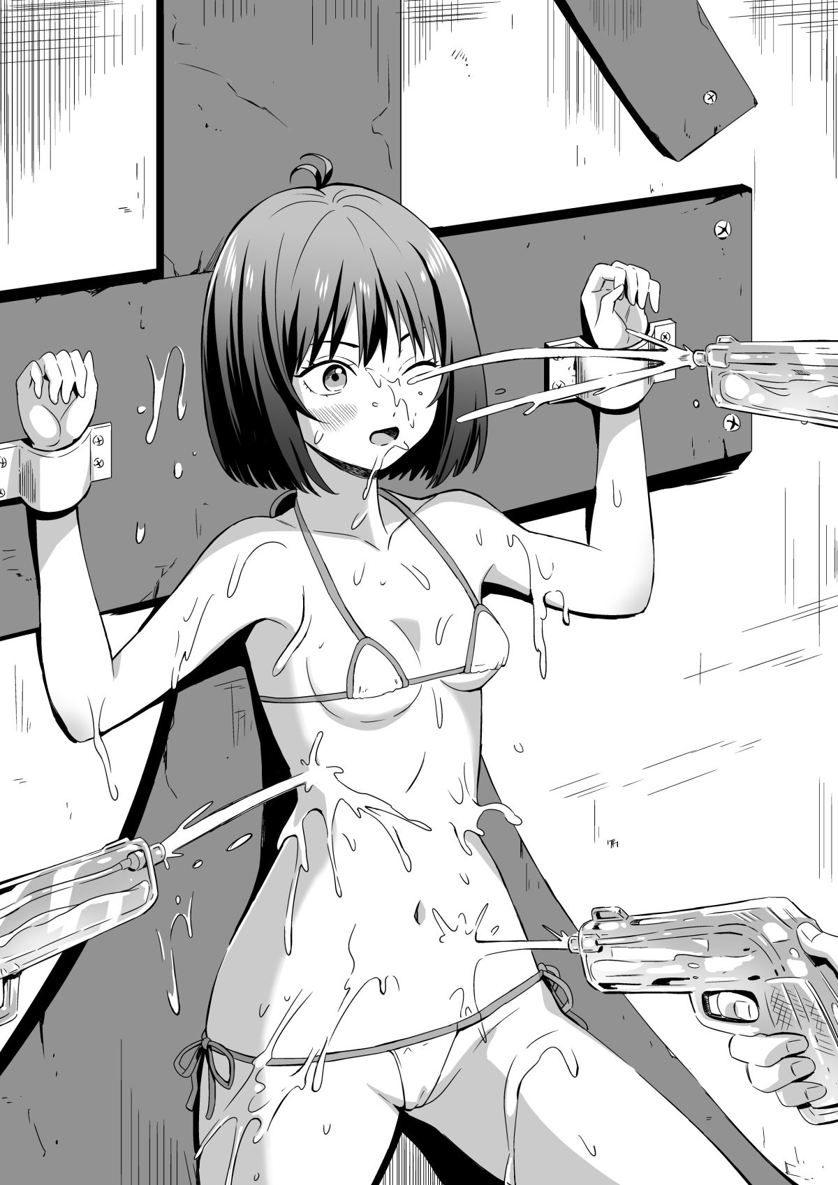 サンプル画像3:オサナイサンコラシメボン(シルバードッグ) [d_622304]