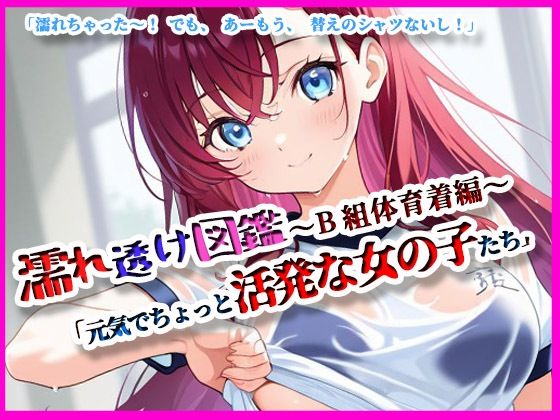 『濡れ透け図鑑 – 体育着編 B組』〜元気でちょっと活発な女の子たち〜【月夜にだけ許されること】