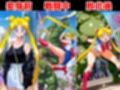 敗北セーラー戦士はモンスターに連続種付けされてアヘ顔に！？【異種姦:500枚】