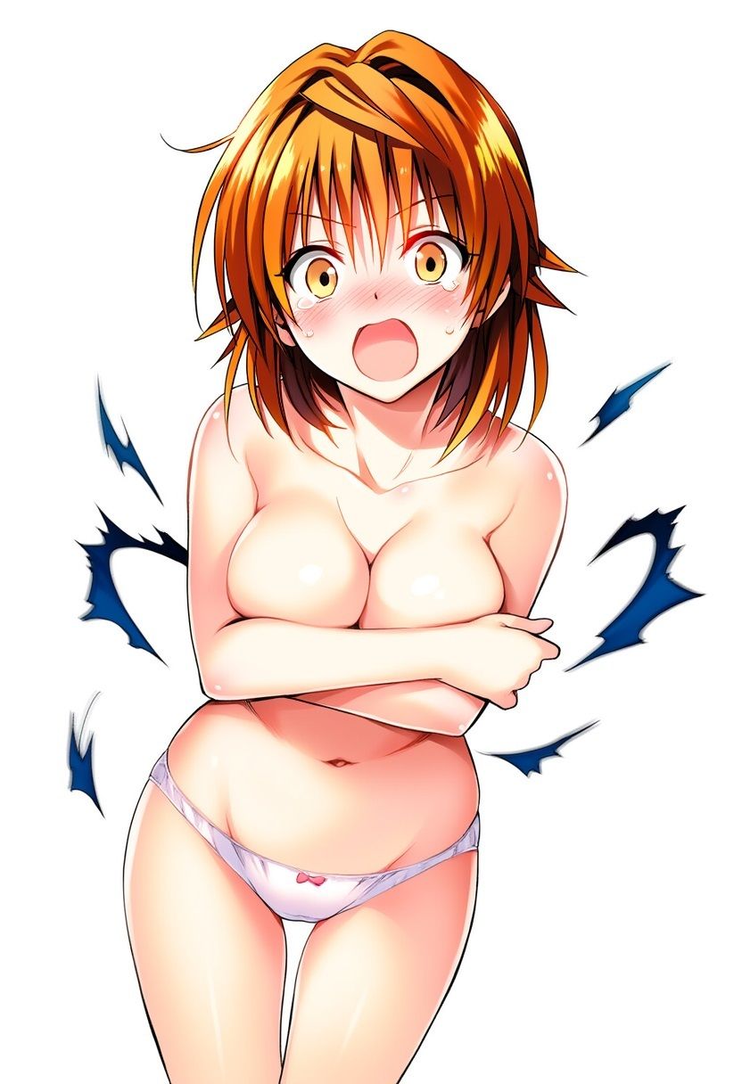 サンプル画像2:女の子の服をビリビリにひん剥いてやったplus(Love and peace) [d_624061]