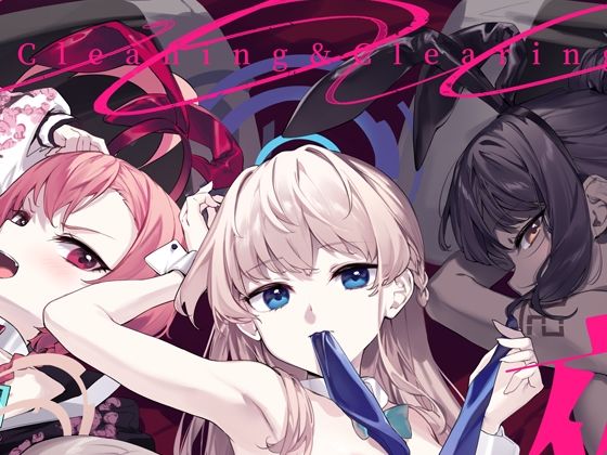 C＆C夜襲大作戦